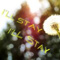 ShadowDuke、Maddy Gaukroger、Dominik Hertel - I'll Stay