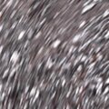 Proxy - focus