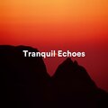 Tranquil Echoes: Ambient Sounds for Meditation and Relaxation