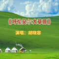 胡晓容 - 呼伦贝尔大草原