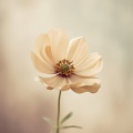 Cocoa Coffee Clan - Daily Posts