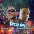 Snuup Dog (feat. Akapellah & Straight G! CPT) (Explicit)