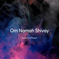 DjSunnyMega - Om Namah Shivay