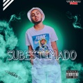 DJ LK、MC Gerson JR - Subestimado - O Começo de uma História (Explicit)