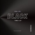 Black (Sounds of an Autistic, Side 2) [Explicit]