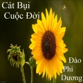 Đào Phi Dương - Và từ nay