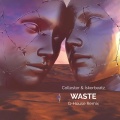 WASTE