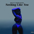 Nothing Like You (Explicit)