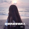 走错的路爱错的人 (DJ赵R天 remix) (Remix)