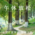午休放松 自然疗愈身心 舒缓大脑