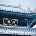 霜宁 - 我爱上一个让我奋不顾身的人