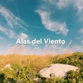Técnicas de Meditación Academia、Meditación Trascendental、Vibraciones Tranquilas - Paisajes de Serenidad