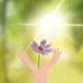 智慧之声|潜能·全脑开发·纯音乐|胎教孕晚期