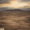 Torn