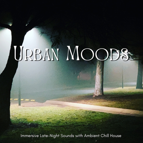 Urban Moods - 深夜にじっくり聴きたいアンビエントなチルハウス
