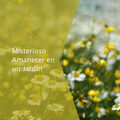 Misterioso Amanecer en un Jardín