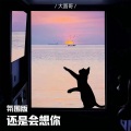 大圆哥 - 还是会想你