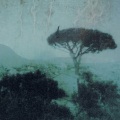 Prairie - Gasperina