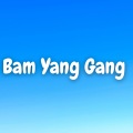 Kayhin - Bam Yang Gang (Marimba)