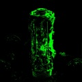 Diversión 私に、sab one boy - 8 BIT LOVE I
