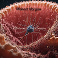 Michael Morgan - Memoirs Of A Fallen Angel
