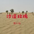 沙漠玫瑰（DJ版）