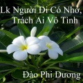 Đào Phi Dương - Lk Cô hàng xóm - Giọt lệ đài trang - Ngày xưa anh tới - Ba mùa mưa- Ru nửa vầng trăng - Trang nhật ký - Một lần dang dở 1