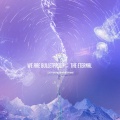 TsringYangGe央、刘Duang昂、鸭蛋、Twilight韩翻团 - We are Bulletproof:the Eternal