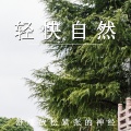 疗愈音律 - 栖息自然