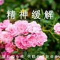 疗愈音律 - 失眠缓解焦虑 (轻音乐)