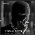 Please Destroy Me