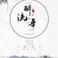 美宝 - 醉流年
