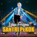 Santri Pekok