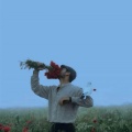 曾哥儿 - a rose