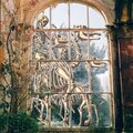 Quartz - Before Christ Era