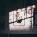 景超Jc - 向告别飞驰吧