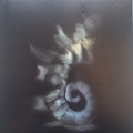 María Elía、Diego Penelas、Liliana Herrero、Mario Gusso、Guillermo Delgado - La Misma Leña