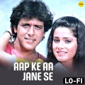 Aap Ke Aa Jane Se (Lo Fi)