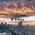张危险、Kasnia、dank - 四平Gang
