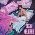 ZTSky、Mr. Kan3 - Wake You Up