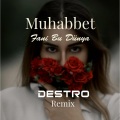 Destro - Fani Bu Dünya (Remix)