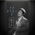赵十三 - 我是真的爱上你