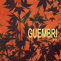 MusicScreen - Guembri Blues