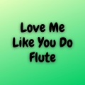Kayhin - Love Me Like You Do (Flute)