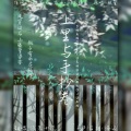 浅茉杺蕊 - 上里与手抄卷