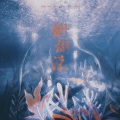 嫏华 - 珊瑚说