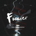景衍Flowsik - Forever