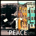 neuman pinto - Peace is a Choice