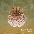 Brain Pulse