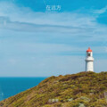 王香港 - 可不可以